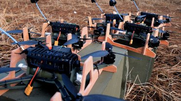 БФ Велич Життя