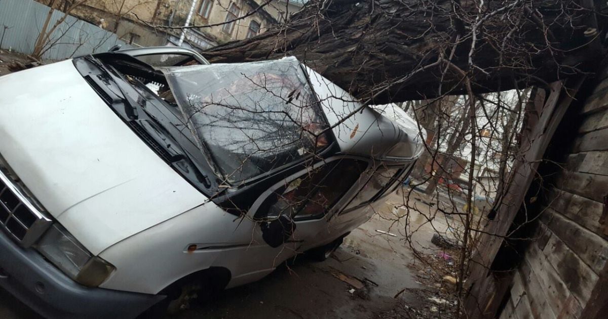 дерево роздавило мікроавтобус_4 / © Репортер