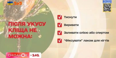 Як правильно витягати кліща – голова Всеукраїнської спілки парамедиків Ярослав Вус