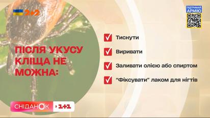 Як правильно витягати кліща – голова Всеукраїнської спілки парамедиків Ярослав Вус