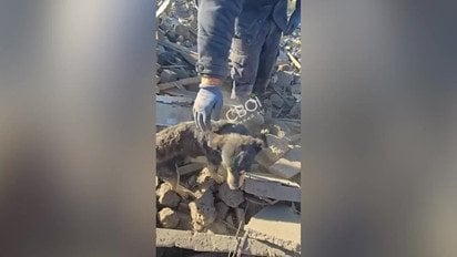 Ракета попала в дом под Кривым Рогом- погибла вся семья, выжил только пес