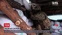 Канада не радить своїм громадянам їхати до України | Новини світу