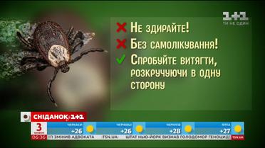 Кліщі розпочали сезон полювання