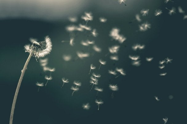 Народні прикмети 10 червня / © unsplash.com