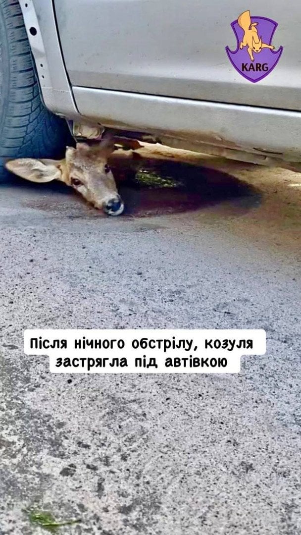  / © ТСН