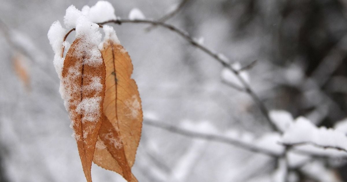 12 декабря 2020: какой сегодня праздник, приметы и День ангела