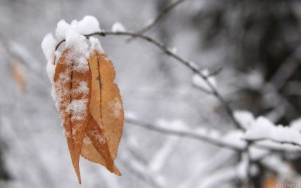 В Україні буде морозяно і вітряно, подекуди сніжитиме: прогноз погоди на 22 листопада 
