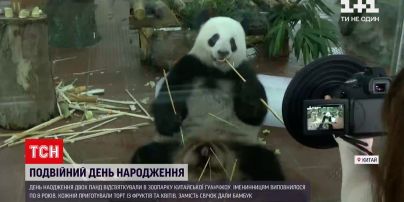 Новини світу: в зоопарку китайського Гуанчжоу влаштували день народження для двох панд