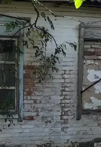 Родина купила будинок в селі