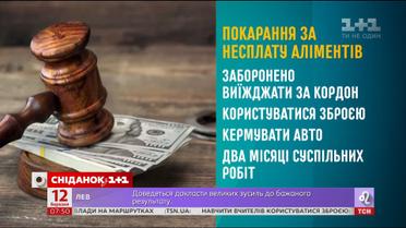 Начальник Головного територіального управління юстиції у м. Києві розповів, як працює Закон про аліменти 