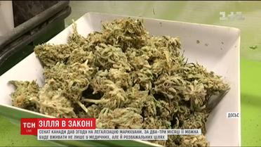 Сенат Канады легализовал употребление и выращивание марихуаны