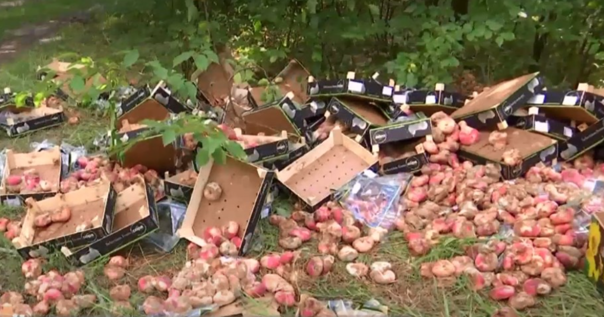 В Києві у лісі біля парку Партизанської слави торговці викинули зіпсовані фрукти у ящиках: місцеві шоковані
