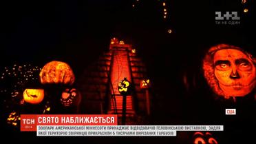 К Хэллоуину зоопарк Миннесоты украсили 5-ю тысячами вырезанных тыкв