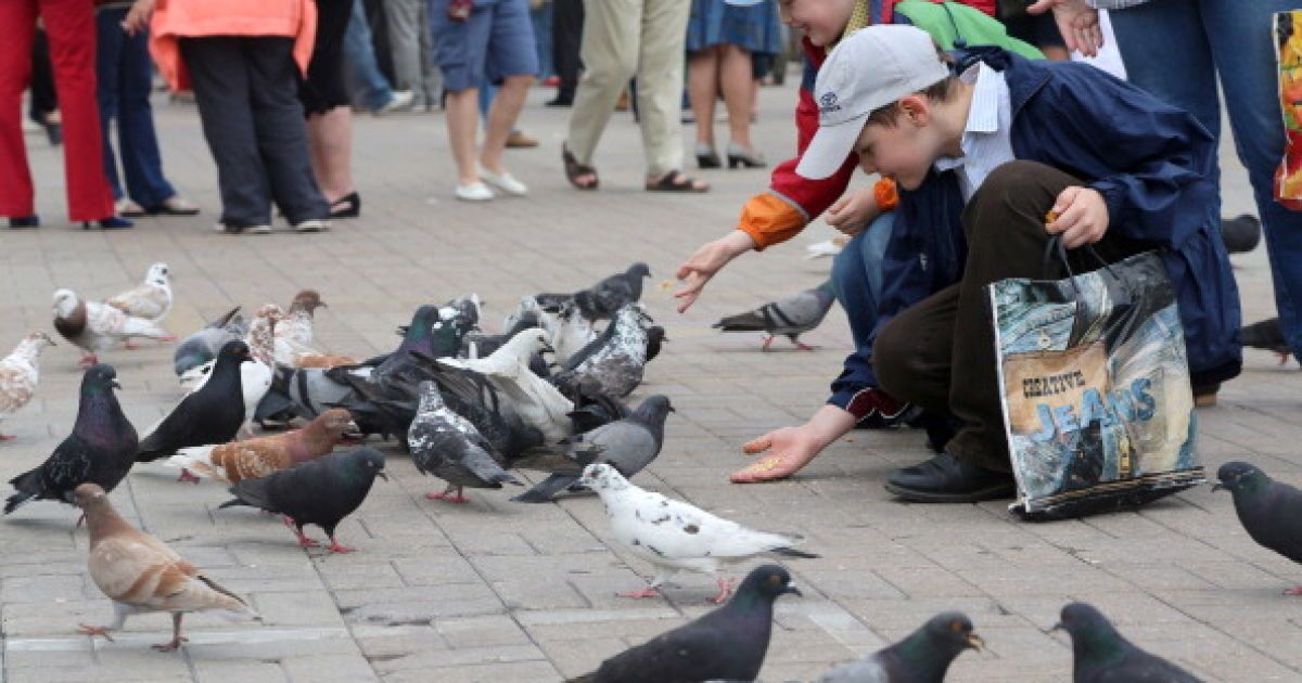 Иллюстрация. Малыши выскользнули из садика