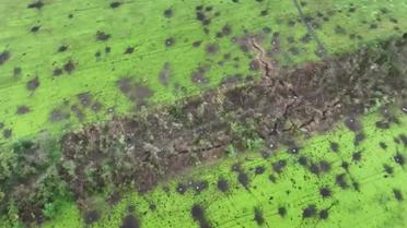 Украинские защитники уничтожили группу оккупантов, которые собирались на штурм