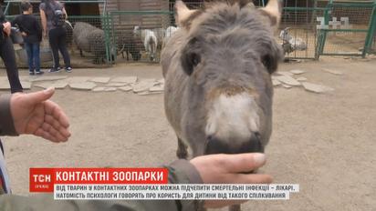 Від тварин у контактних зоопарках можна підчепити смертельні інфекції - Супрун