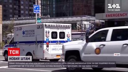 Новини світу: вчені США описали ще більш небезпечний штам коронавірусу "Йота"