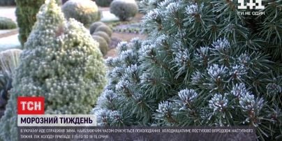 Морозная неделя: синоптики прогнозируют похолодание на Старый Новый год