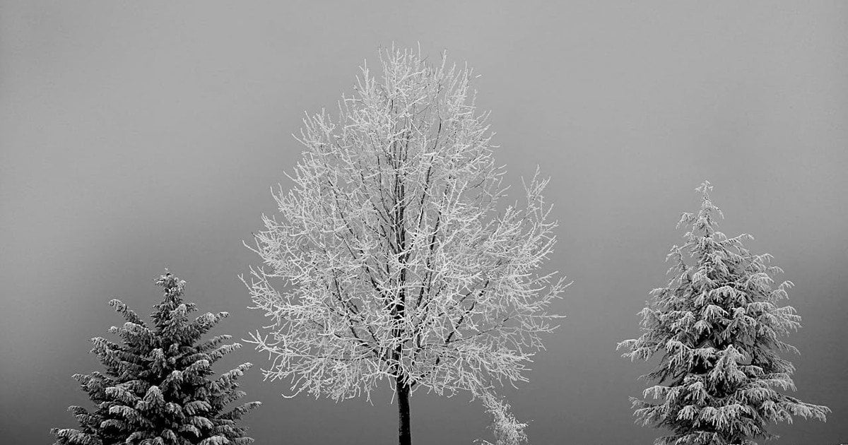 Який сьогодні, 1 грудня, день ангела