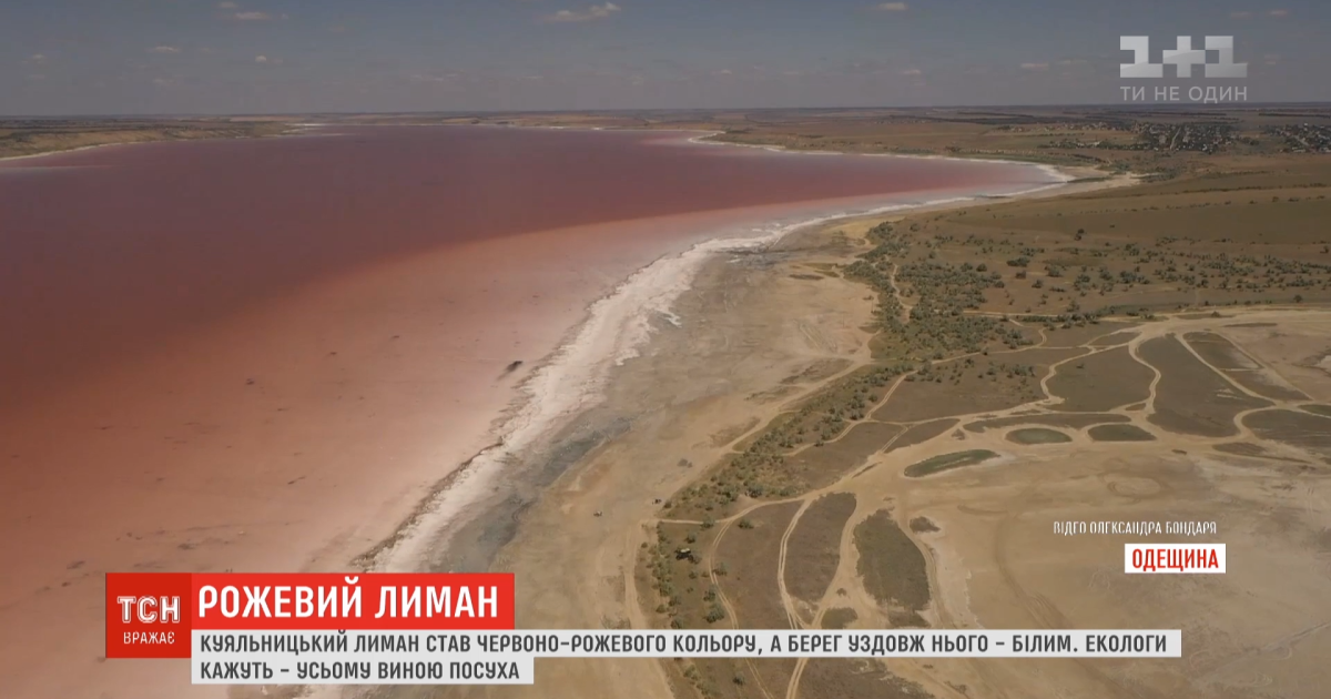 Незвичне природне явище: Куяльницький лиман перефарбувався у червоно-рожевий колір