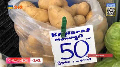 Огляд цін: скільки коштують овочі, фрукти, м'ясо та яйця на житомирському ринку