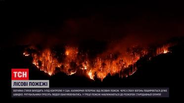 Потужні лісові пожежі накоїли лиха на кордоні Чехії та Німеччини