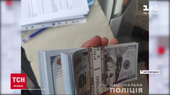 Підробки не можна відрізнити від справжніх купюр: у Житомирській області затримали фальшивомонетників