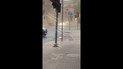 Во Львове "апокалипсис": началась очень сильная буря