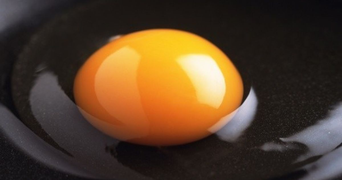 Яйцо