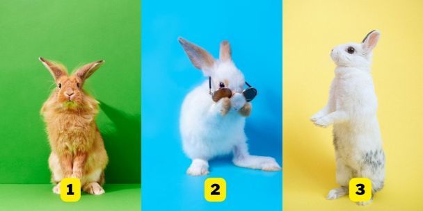 Тест Фото: Abmeyerwood