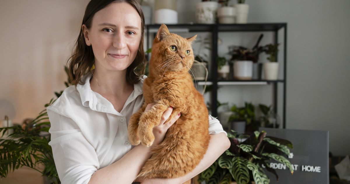 Как коты показывают свою любовь