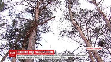 Через загрозу пожеж на Дніпропетровщині заборонили розводити багаття у лісах