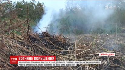 Поліція запускає в небо дрони, аби відслідкувати порушників, які палять листя