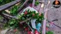 Шансов выжить не было: во Львове пара влюбленных погибла во время урагана (видео)
