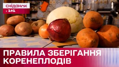 Як правильно зберігати коренеплоди взимку? – Поради від Дарії Дорошкевич