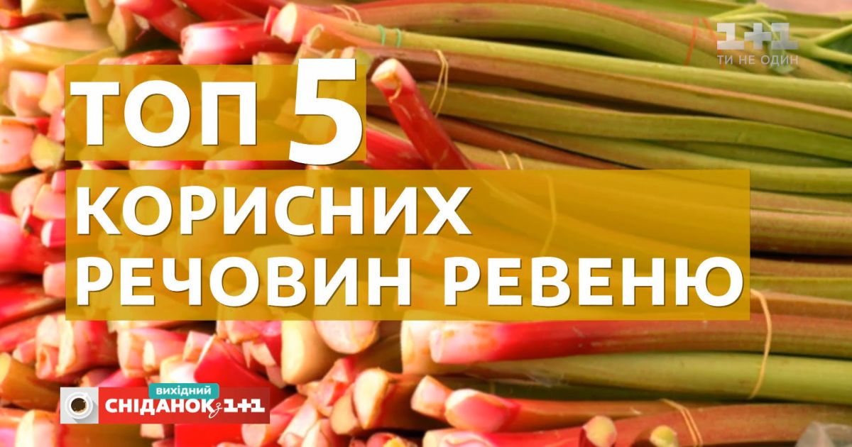 Ревінь, румбарбар: чим корисна ця рослина та з чим її їдять