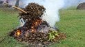 Чи можна спалювати гілки на подвір'ї