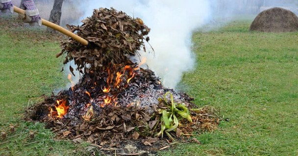 Чи можна на своєму подвір’ї, городі спалювати гілки, рослинність, сміття: що каже закон, які штрафи