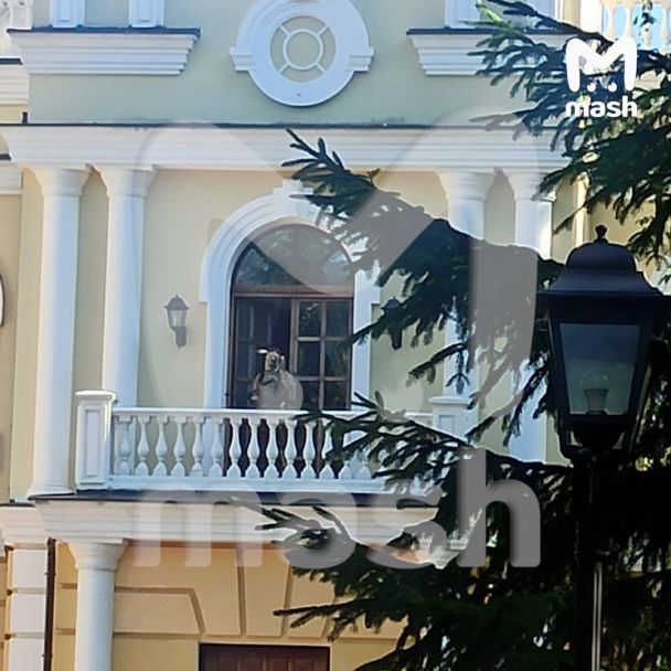 ахоплення котеджу у Підмосковʼї / © 