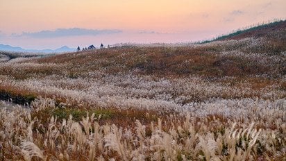 Гороскоп на 6 листопада