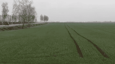 Як чиновники на місцях заробляють на махінаціях із землею