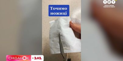 Как отстирать пуховик и наточить ножницы – обзор тиктока