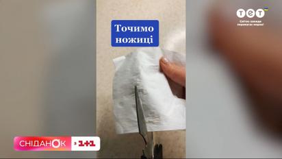 Как отстирать пуховик и наточить ножницы – обзор тиктока