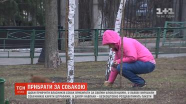 Активісти намагаються привчити українців прибирати за своїми улюбленцями