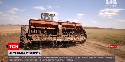 Новости Украины: в Раде планируют рассмотреть два законопроекта земельной реформы