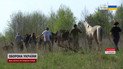 Економічна грамотність і терапія кіньми: школа бізнесу для ветеранів запрацювала на Київщині