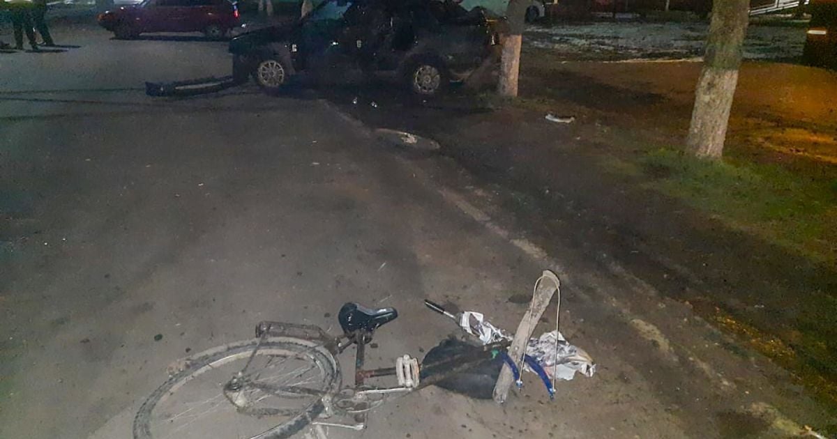 У Запорізькій області під колесами авто загинула жінка: водій був п'яний