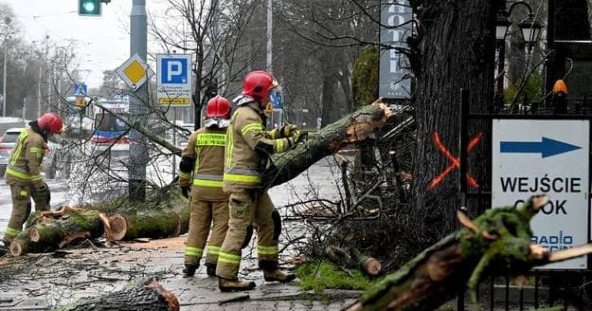 Грозы с градом и снежные бури: в Польше из-за непогоды пострадали люди, заблокированы дороги и нет света (фото, видео)
