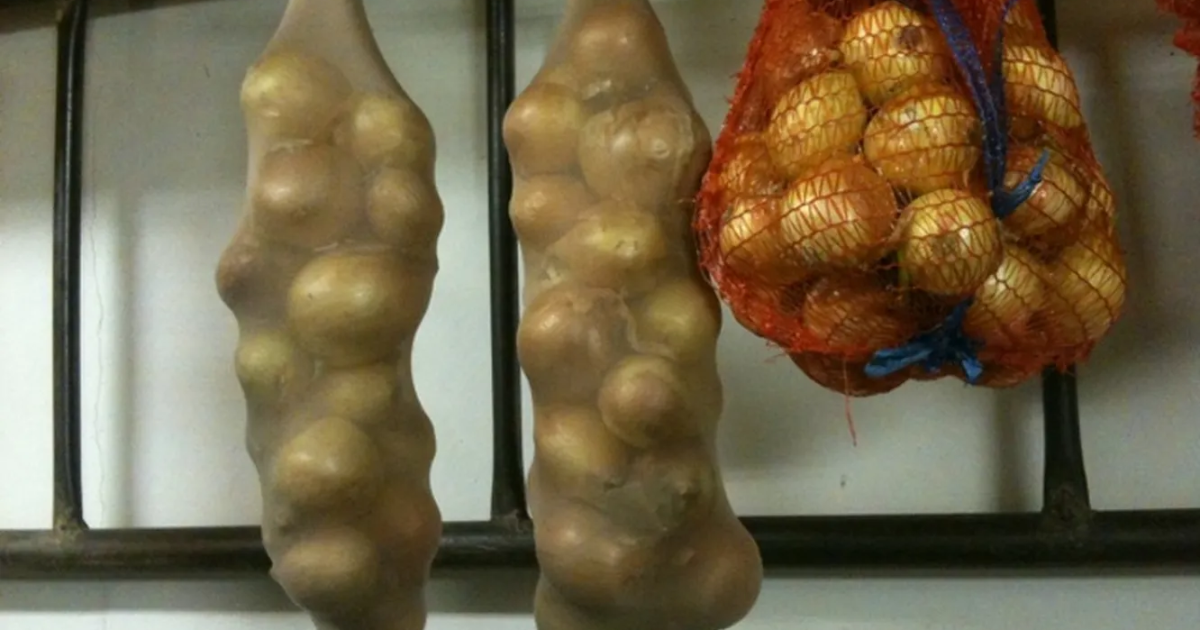 Что сделать, чтобы лук не прорастал