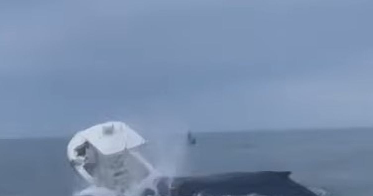 Кит перекинув човен